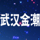武汉市金潮金属材料有限公司